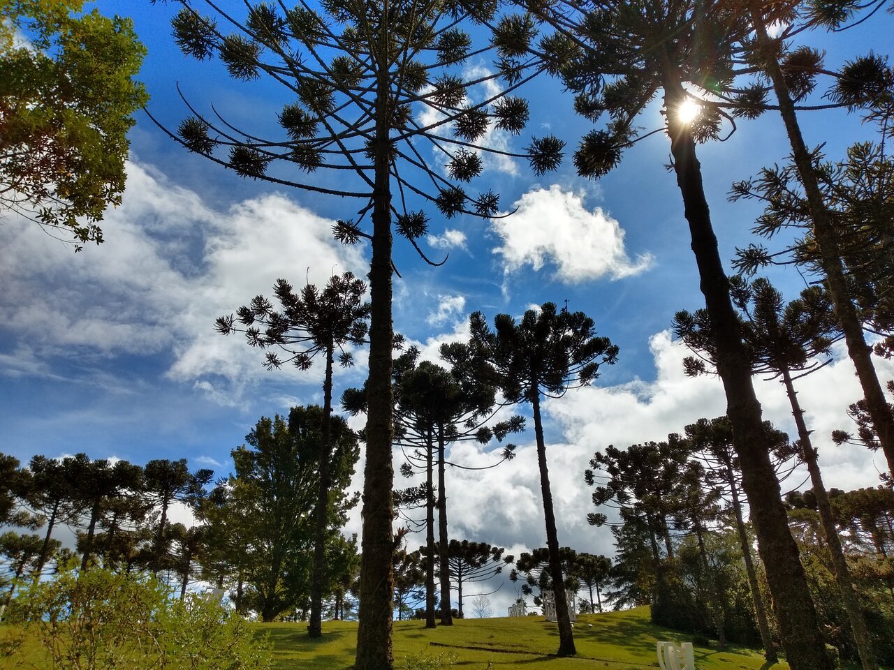 Mulheres Inspiradoras de Campos do Jordão! - Pousadas de luxo em Campos do  Jordão